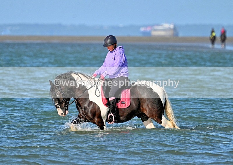 WJ7_3361_1 - Kellie & Churchill ... do Hayling Island 25-08-24