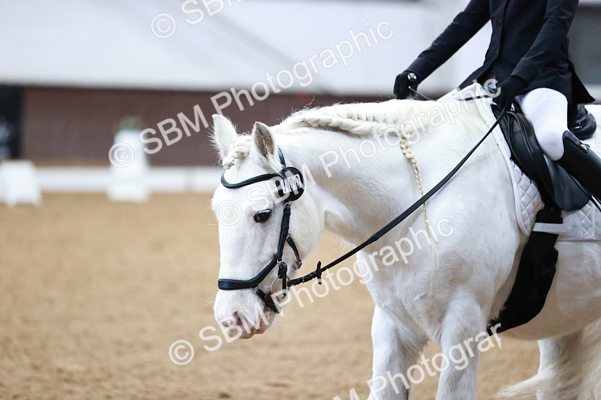 SBM_000017 - Class 1, 2, 6 MQ Intro 2 and Open Prelim 2