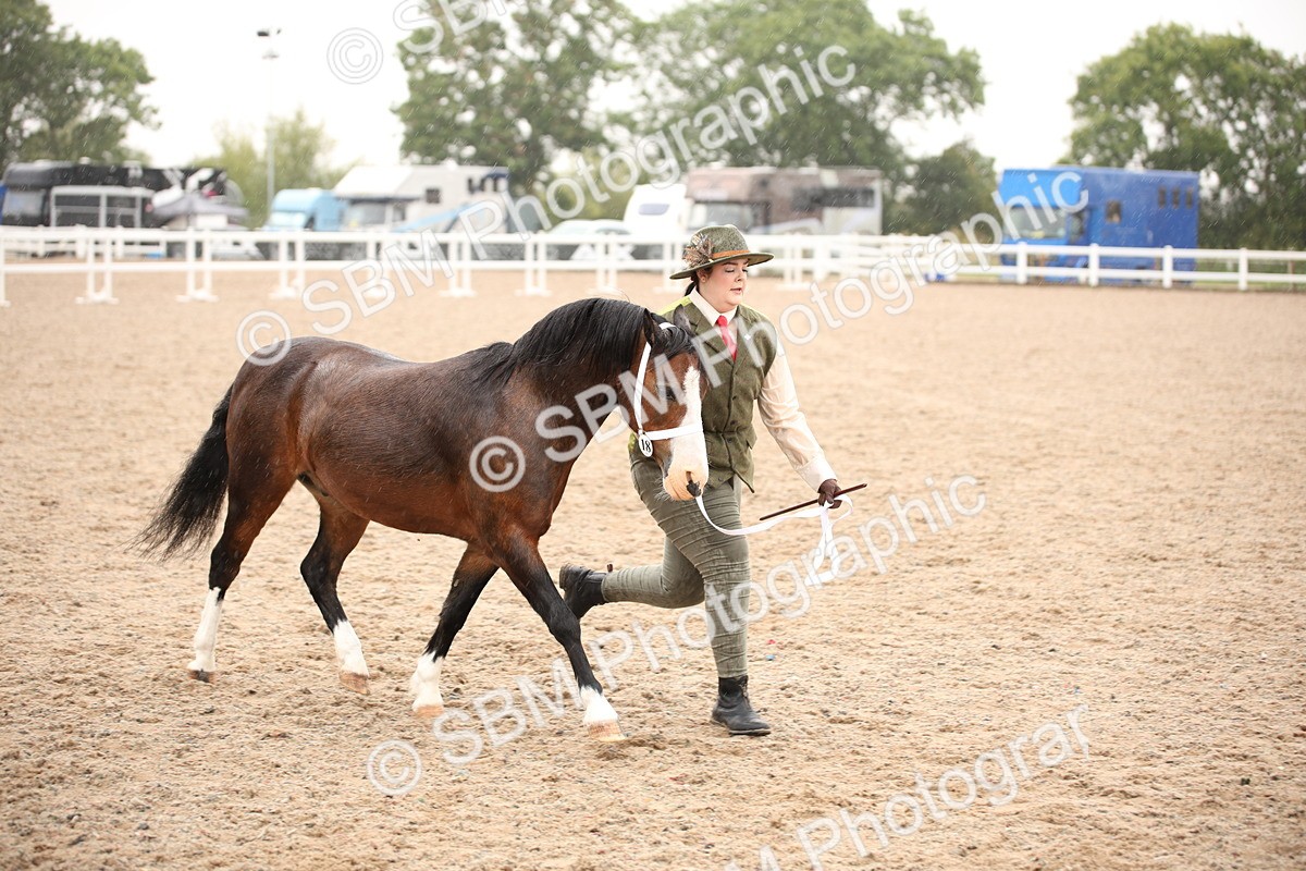 SBM_20255 - Class 704 - IH Rescue