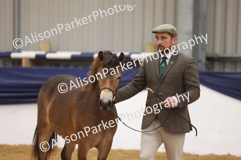 20260913-1282 - Class 113 - Yearling