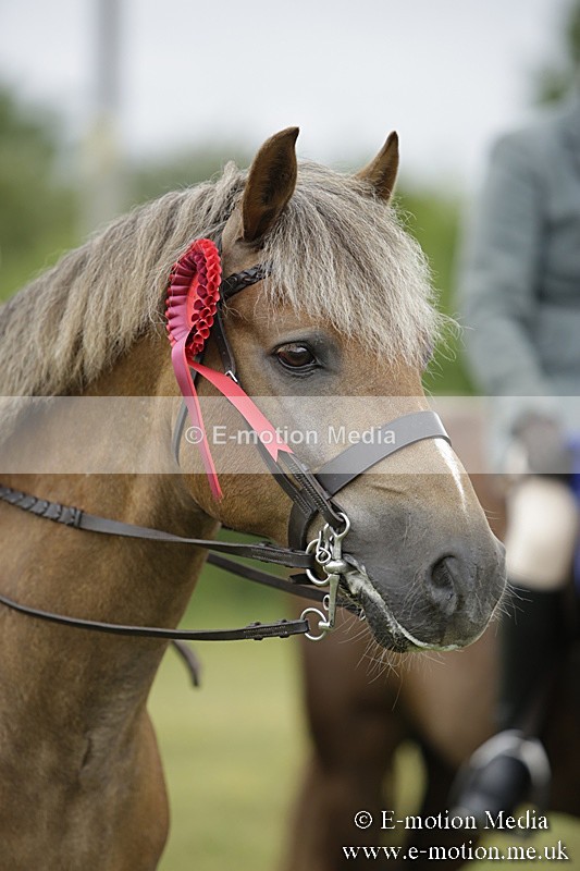 BVR160717-1346 - Ring 1 BVRC Show 16/07/17