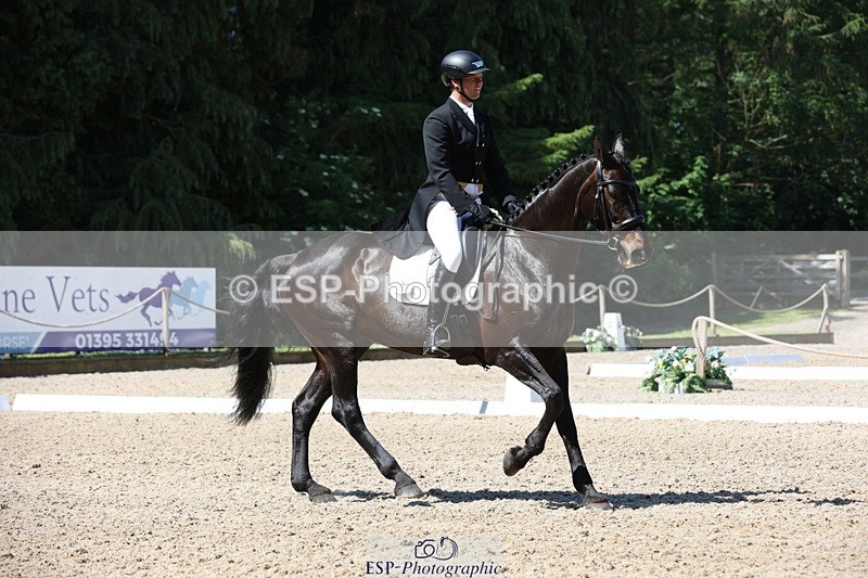 230526-103831-05296 - 363-RLE_KHALEESI_C-Christopher_Wincer-WEDTrotUp+DR