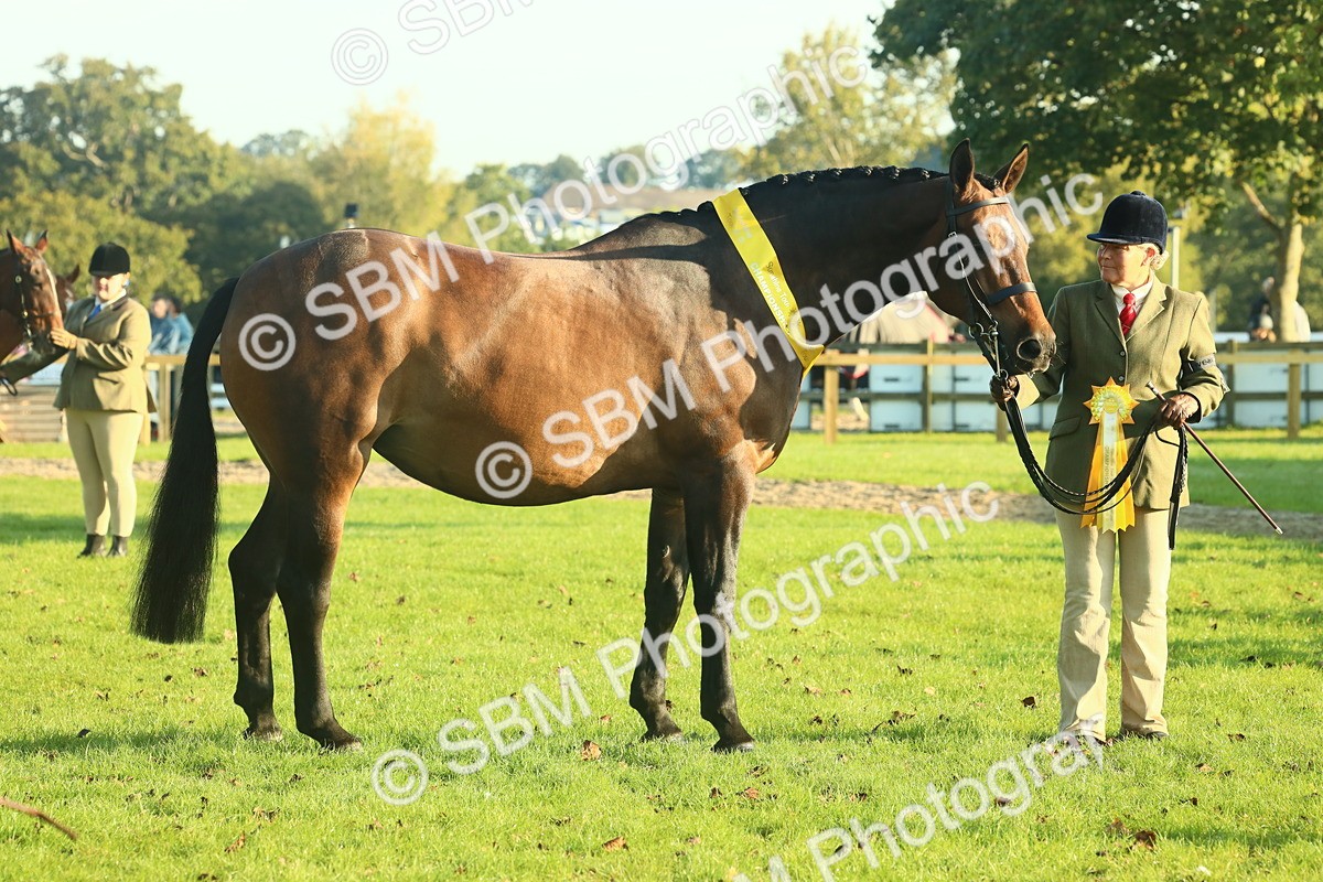 SBM_56751 - S36 - Starters Best Turnout