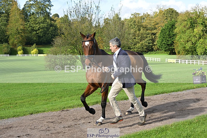 241023-131130-00122 - 006-Mark.Ford-ALVESCOT.FIVE.STAR