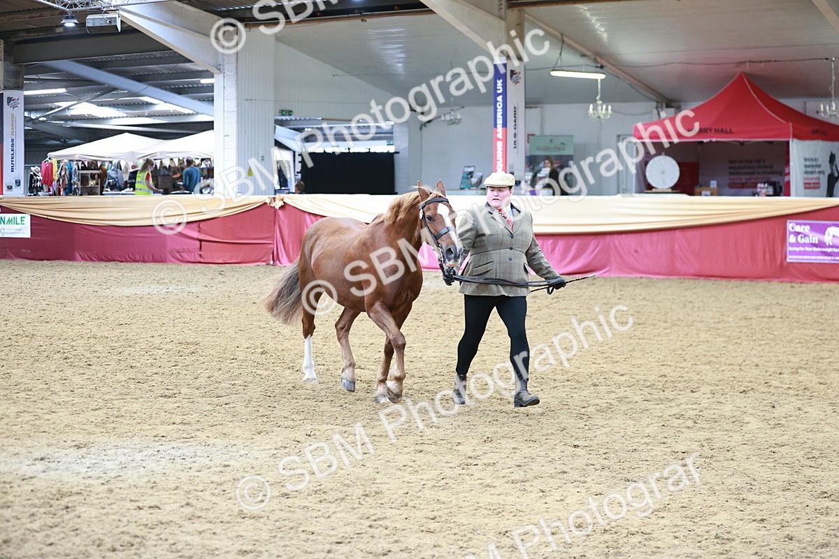 SBM_04840 - Class 7R - Regional IH Diamond