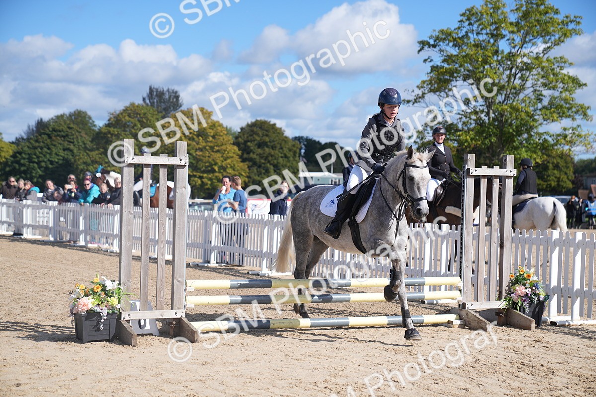 SBM_02497 - J54 Clear Round 45cm