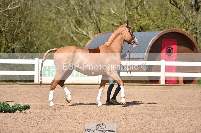 240417A-144340-00623 - 2pm to 3pm