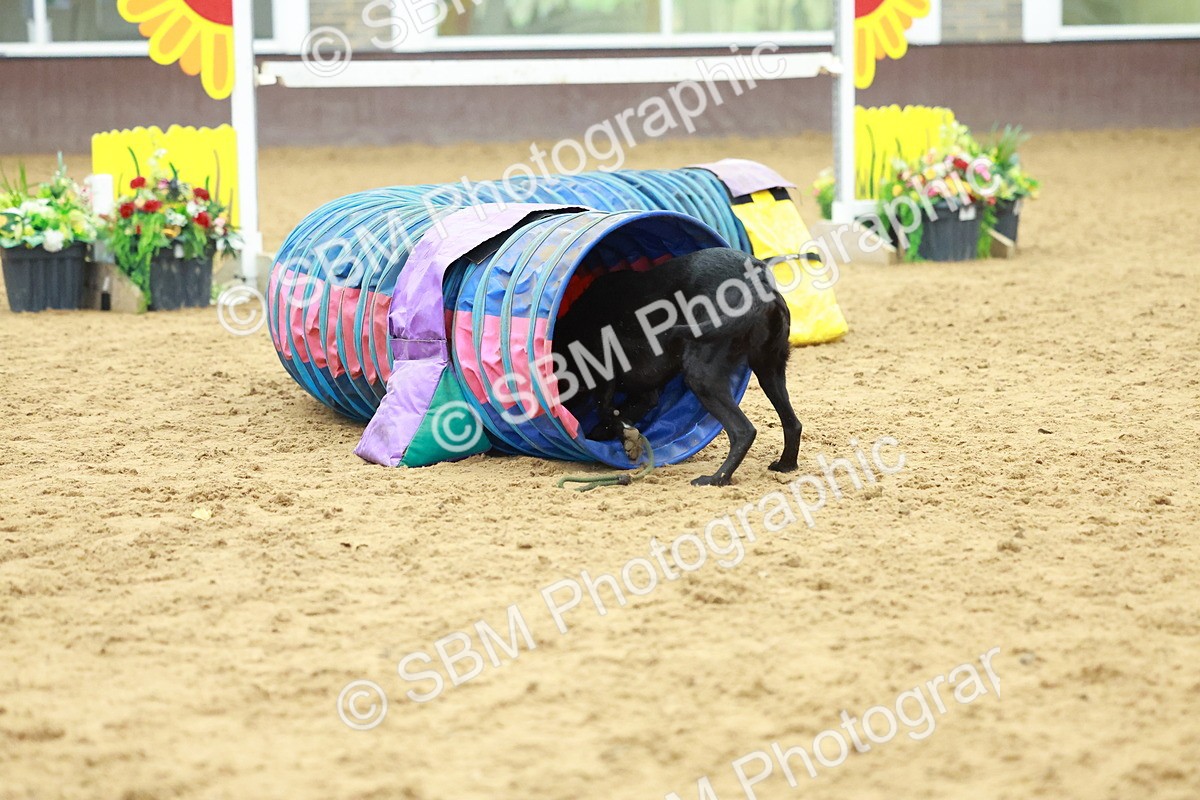 SBM_002577 - Class 3 - Horse & Hound (60cm)