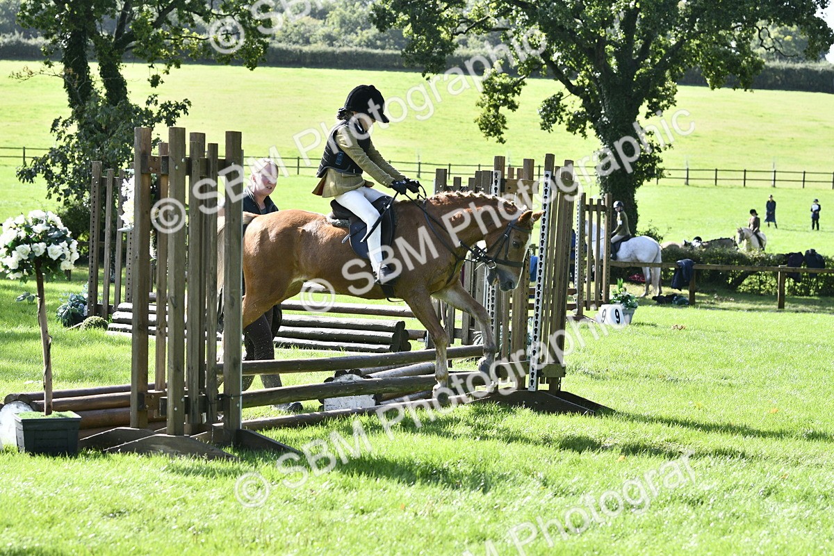 SBM_38231 - S31 - Novice & Newcomer Working Hunter Pony