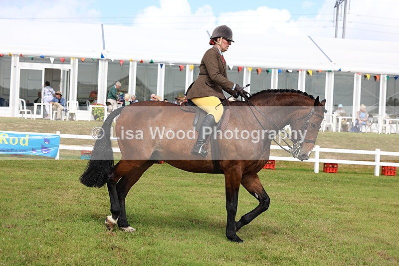 3E7A9460 - Class 4: Rising Star M/H Hunter