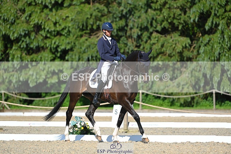 230526-165428-07431 - 258-DHI_KING_NELSON-Barnie_Brotherton-WEDTrotUp+DR