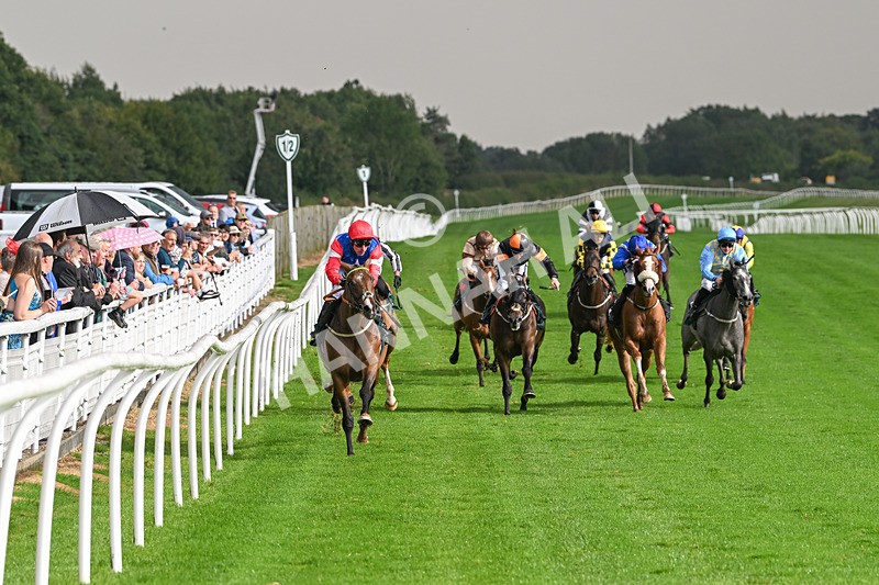 280824-Race 4-Desert Dream-4366 - Race 4