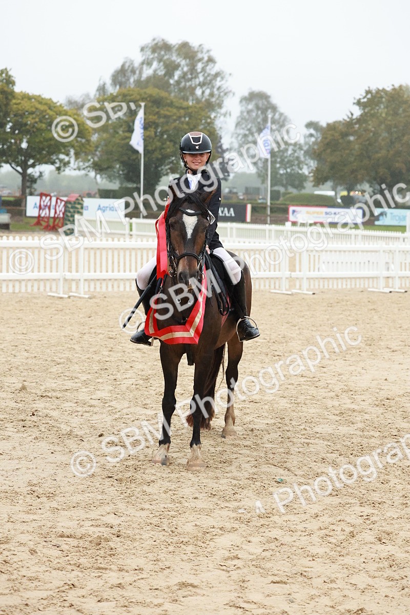 SBM_73454 - Supreme Championship Junior Pony 60cm & 65cm
