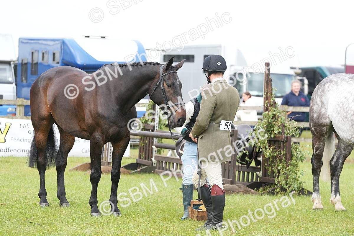 SBM_12731 - Class 97-98 - LIHS BSHA Rising Star Working Show Horse Hunter