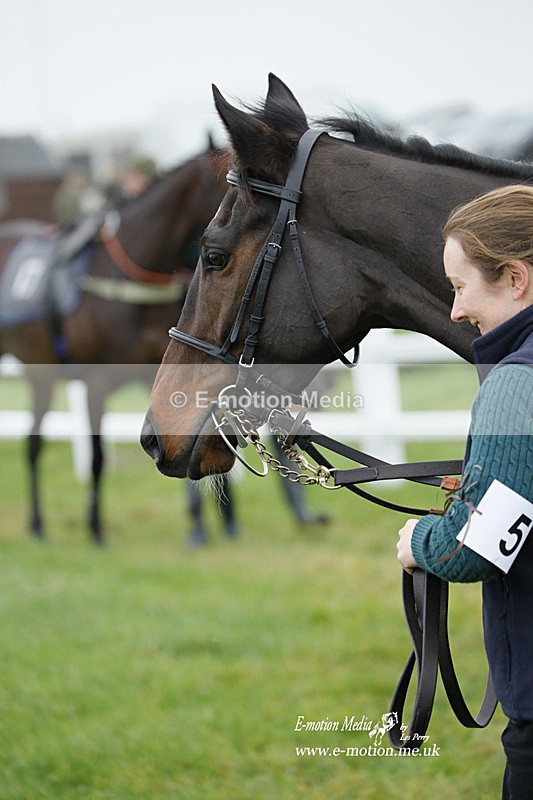 PtP 271122 178 - Hursley Hambledon Hunt Point-to-Point - Larkhill - 27/11/22