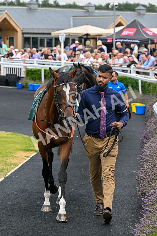 040826-Race 1-National Pride-4235 - Race 1 14.15pm Army Benevolent Fund/EBF Novice Stakes