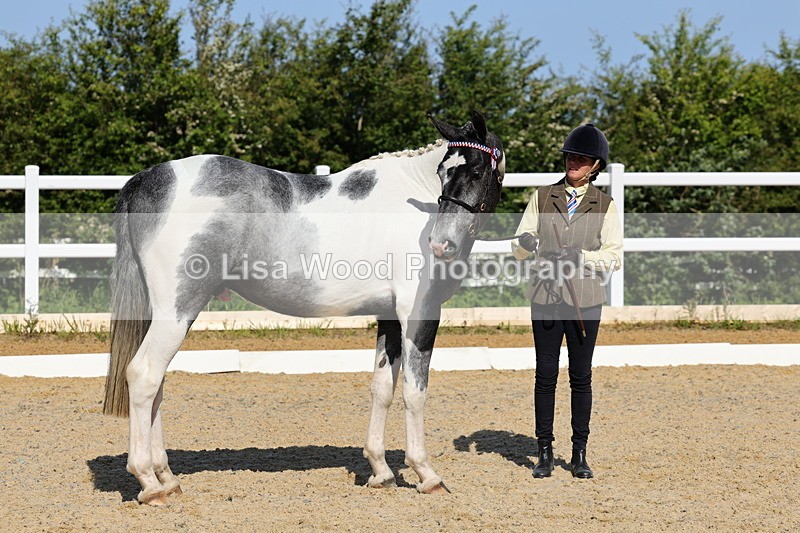 1X9A0766 - Class 4: Youngstock 1, 2, 3 year old to exceed 153cm