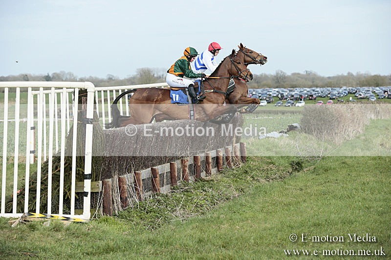 PtP 230319 338 - VWH Hunt Siddington Point-to-Point Racing 23/03/19