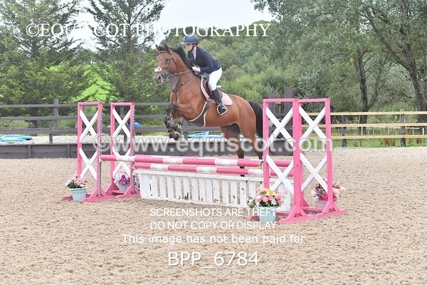 BPP_6784 - CLASS 1 Club/ Unaffiliated 80cms Open