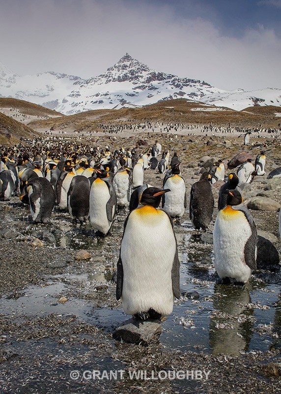 - Antartica