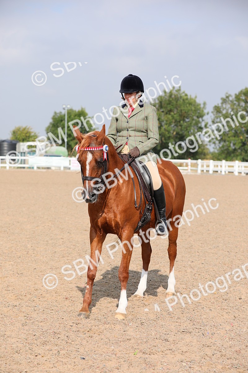 SBM_11403 - Class 305 Ridden Foreign Breeds- Pure Bred