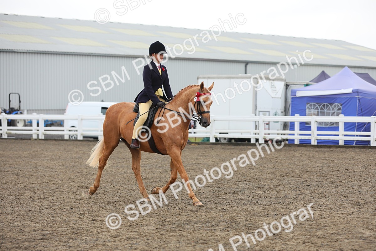 SBM_22330 - Class 807 - Young Rider 11 to 16 Yrs