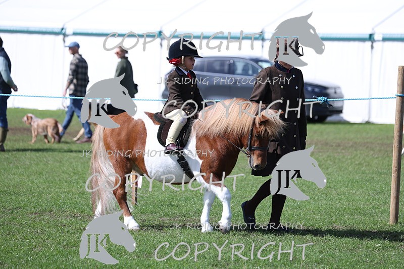 APP_3792 - Class 13 Lead rein