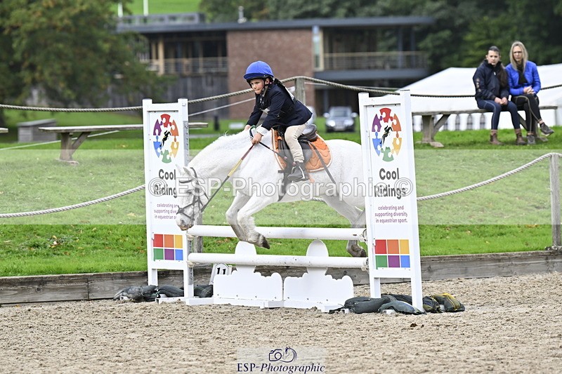 251005A-120800-03615 - Cls 08 Mini 70-75cm