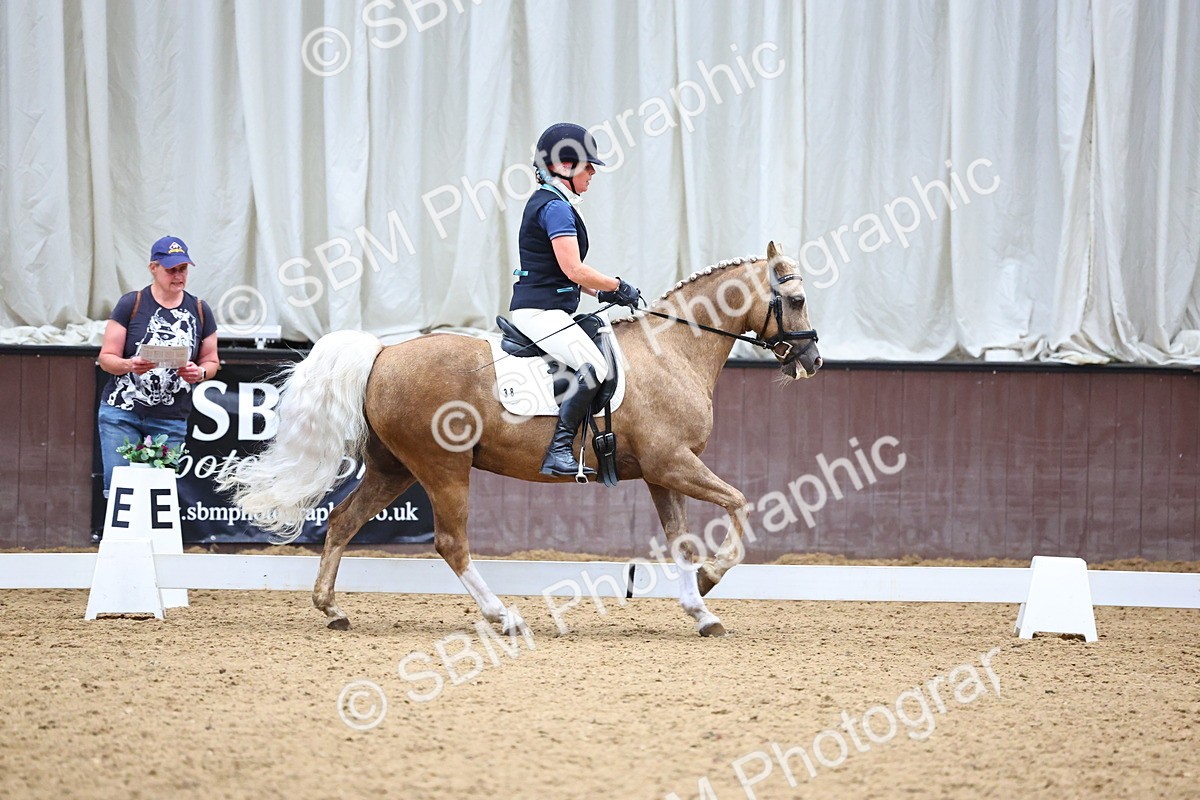 SBM_005594 - Elementary 2