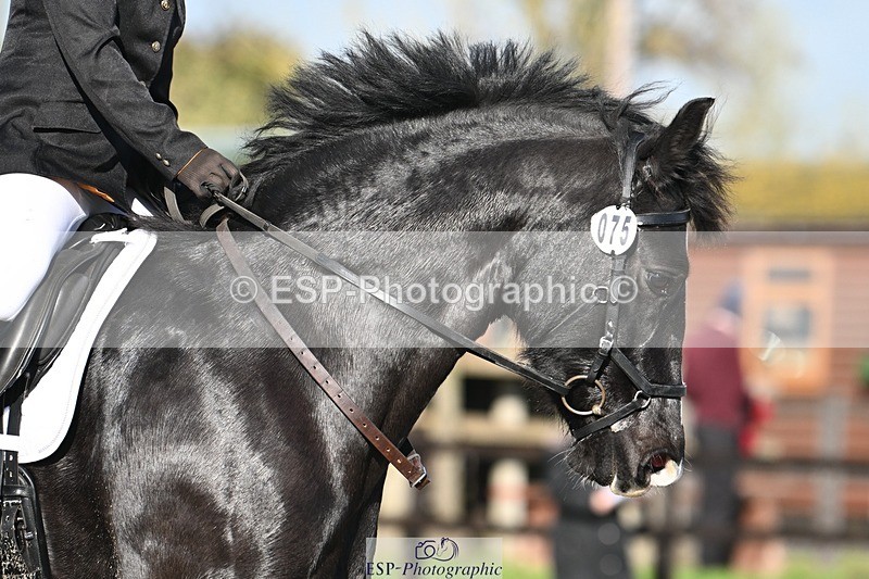 231105-111920-01357 - Cls 2 Prelim 7 11.16 to 12.35 break