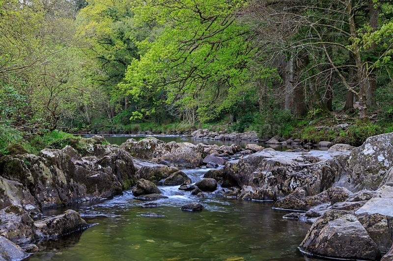 River Llugwy - North Wales