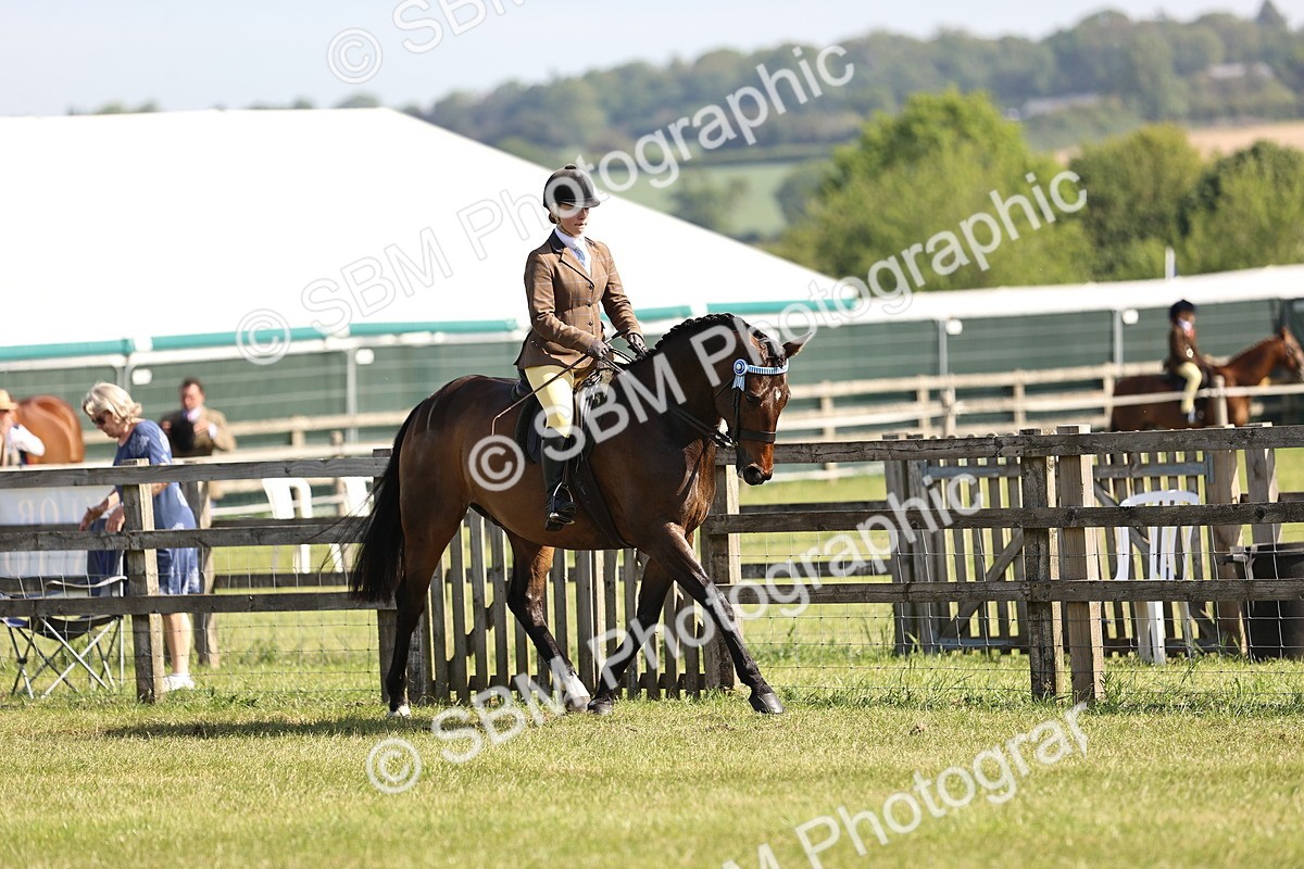 SBM_12910 - Class 75-76 LIHS BSHA Rising Star Hack Riding Horse