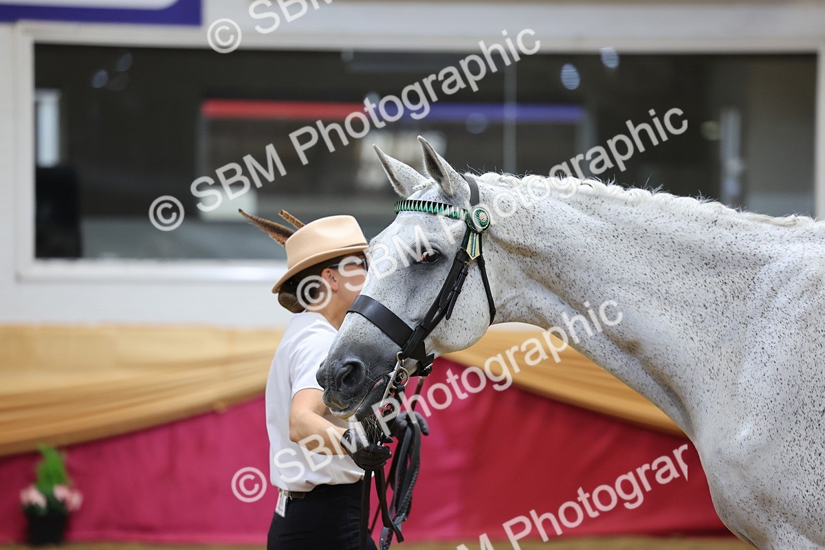 SBM_20907 - Class 902 - Supreme Final IH Veteran