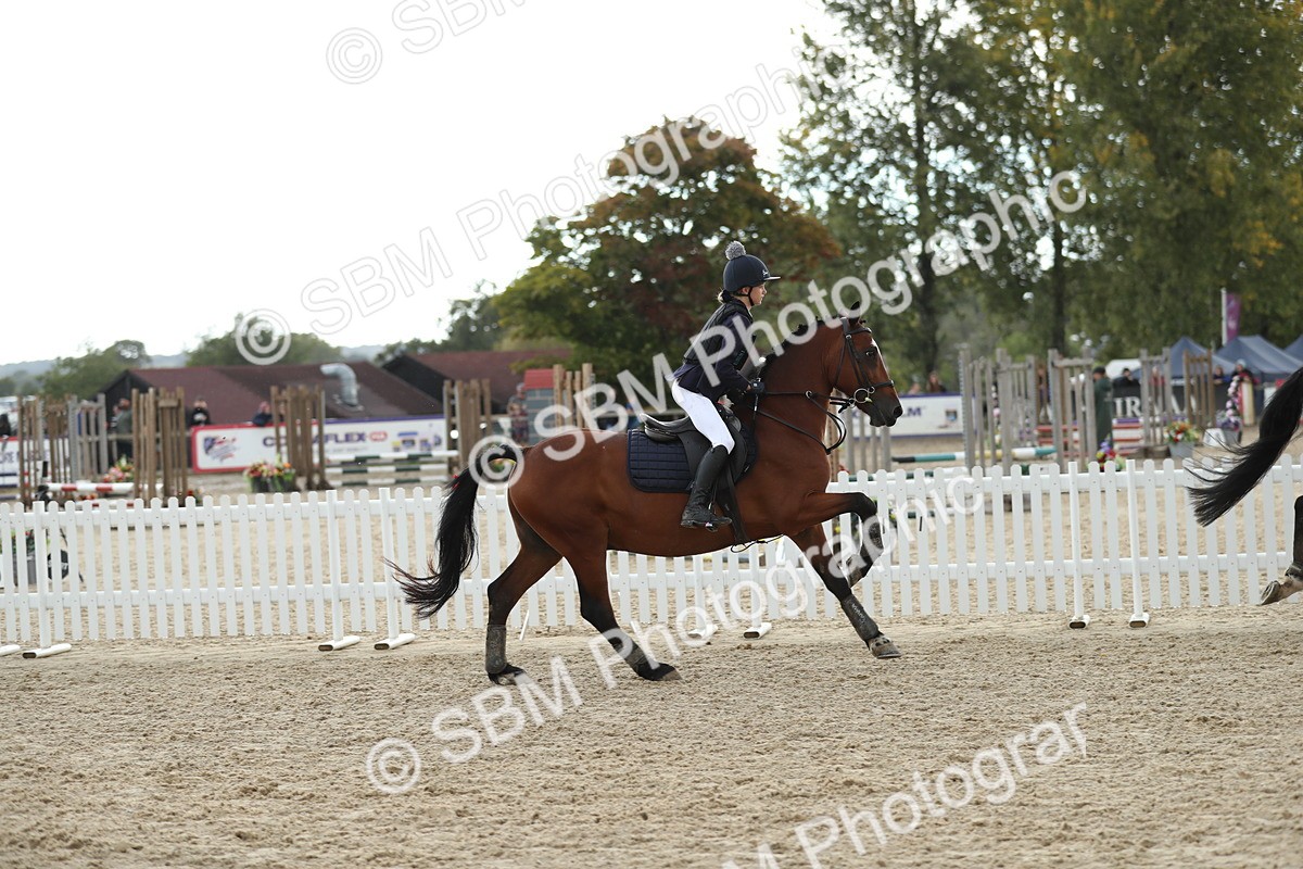 SBM_40532 - J21 - Junior Horse 60cm Championship