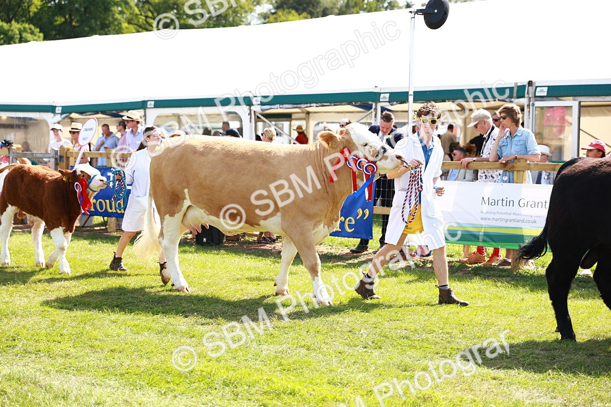 SBM_08433 - Grand Parade