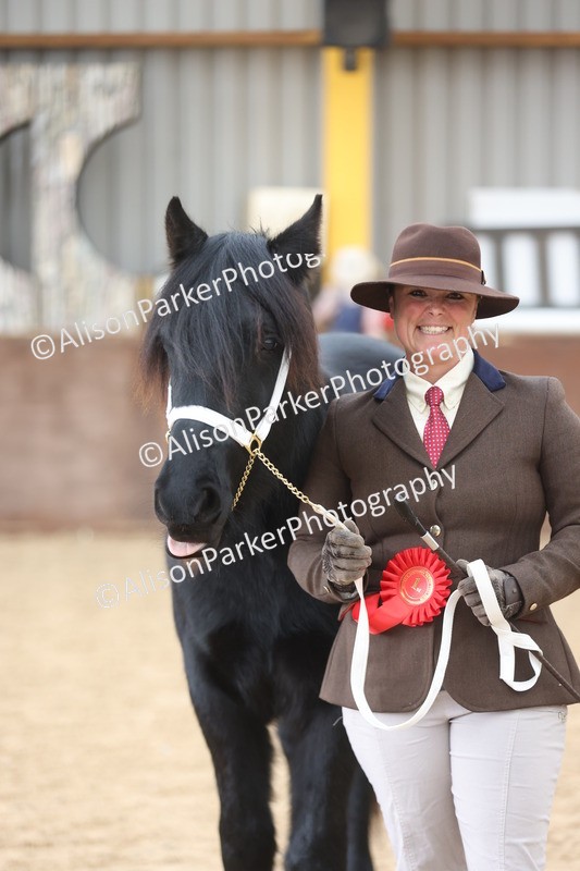 20251109-0858 - Class 25 - Yearling, Colt, Filly or Gelding