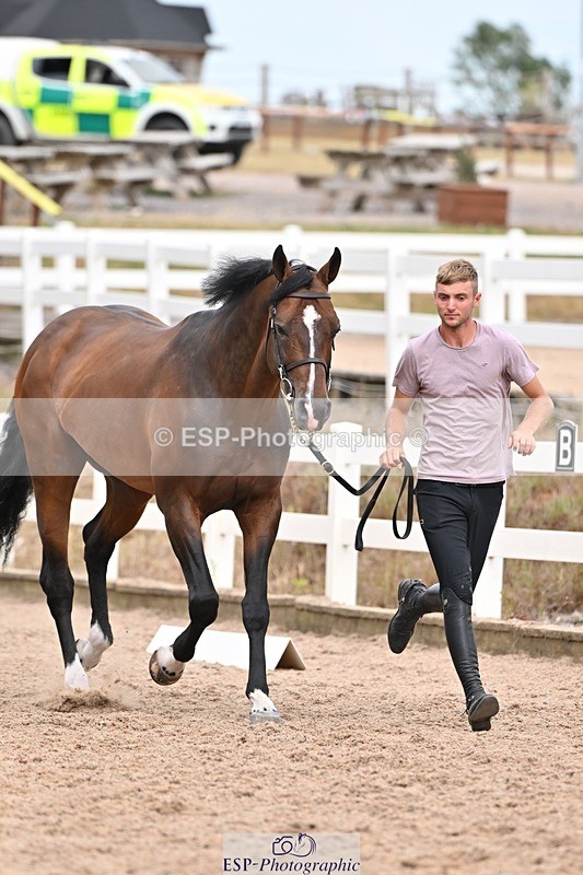 250716-163039-02656 - Trot Up 4.30 to 5.00