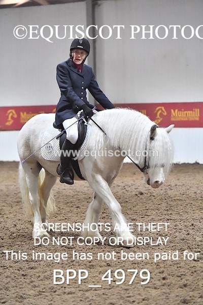 BPP_4979 - INTRO TEST 3