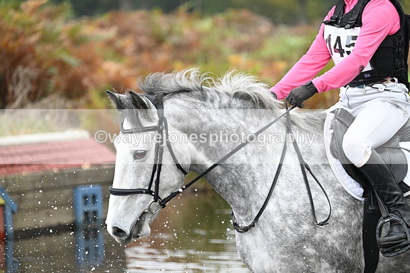 WJ7_1134 - 80cm Cam 2 Water Time 11:29 to 11:46