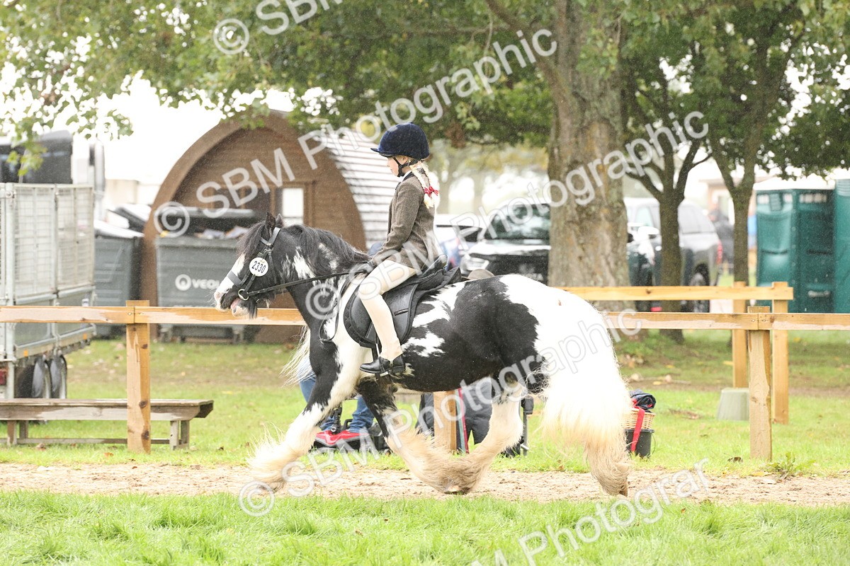 SBM_72758 - S70 - Traditional Cob Ridden