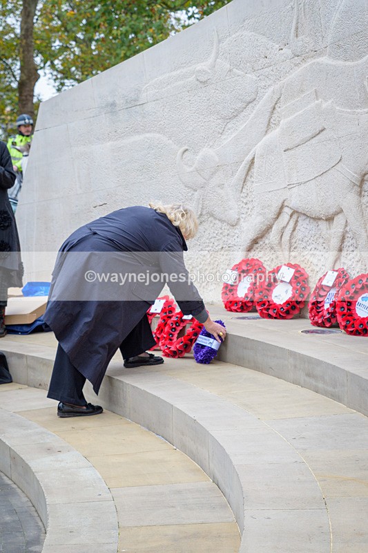 NGP_8261 - 2024 Animals in War Remembrance Gathering
