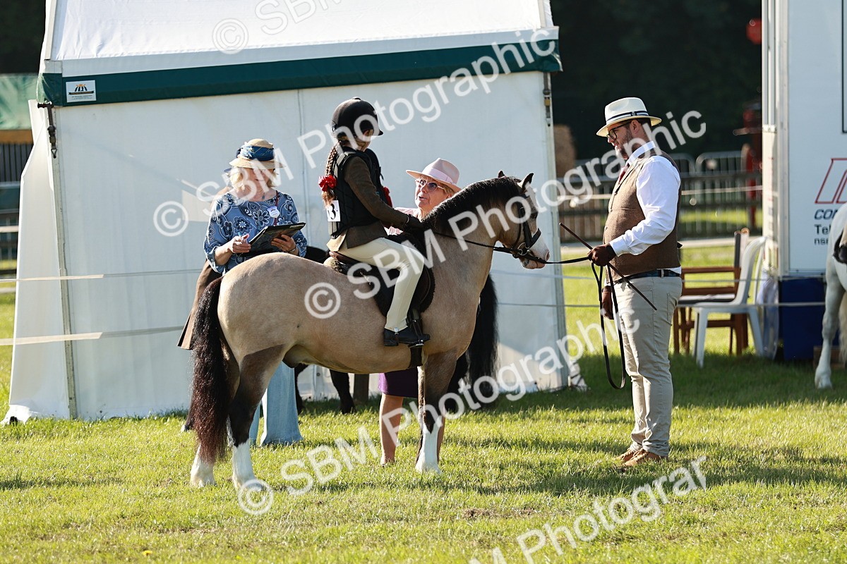 SBM_11081 - Class 106-107 - BSPS LIHS Working Sports Pony