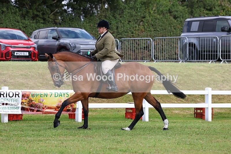 3E7A9338 - Class 4: Rising Star M/H Hunter