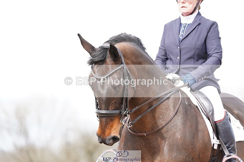 250322-125646-00408 - DR Elementary 2 Test