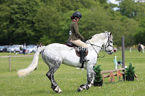IMG_3425 - Working Hunter