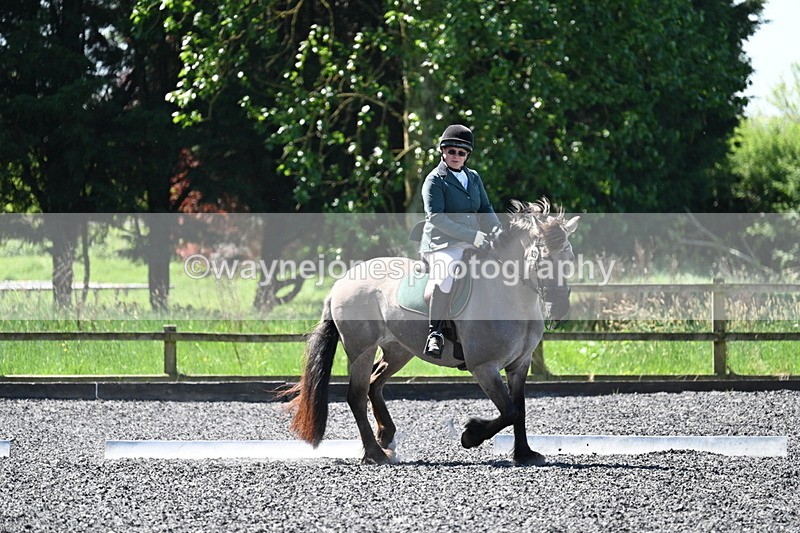 WJ7_9410 - Time 12:10 to 12:21