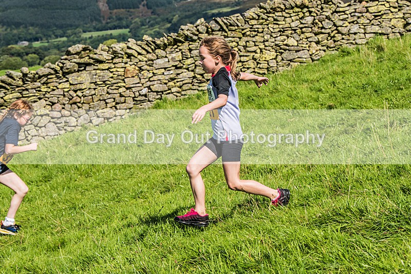 Loweswater Show-74 - Loweswater Show Junior & Senior Fell Races Sunday 3rd September 2023