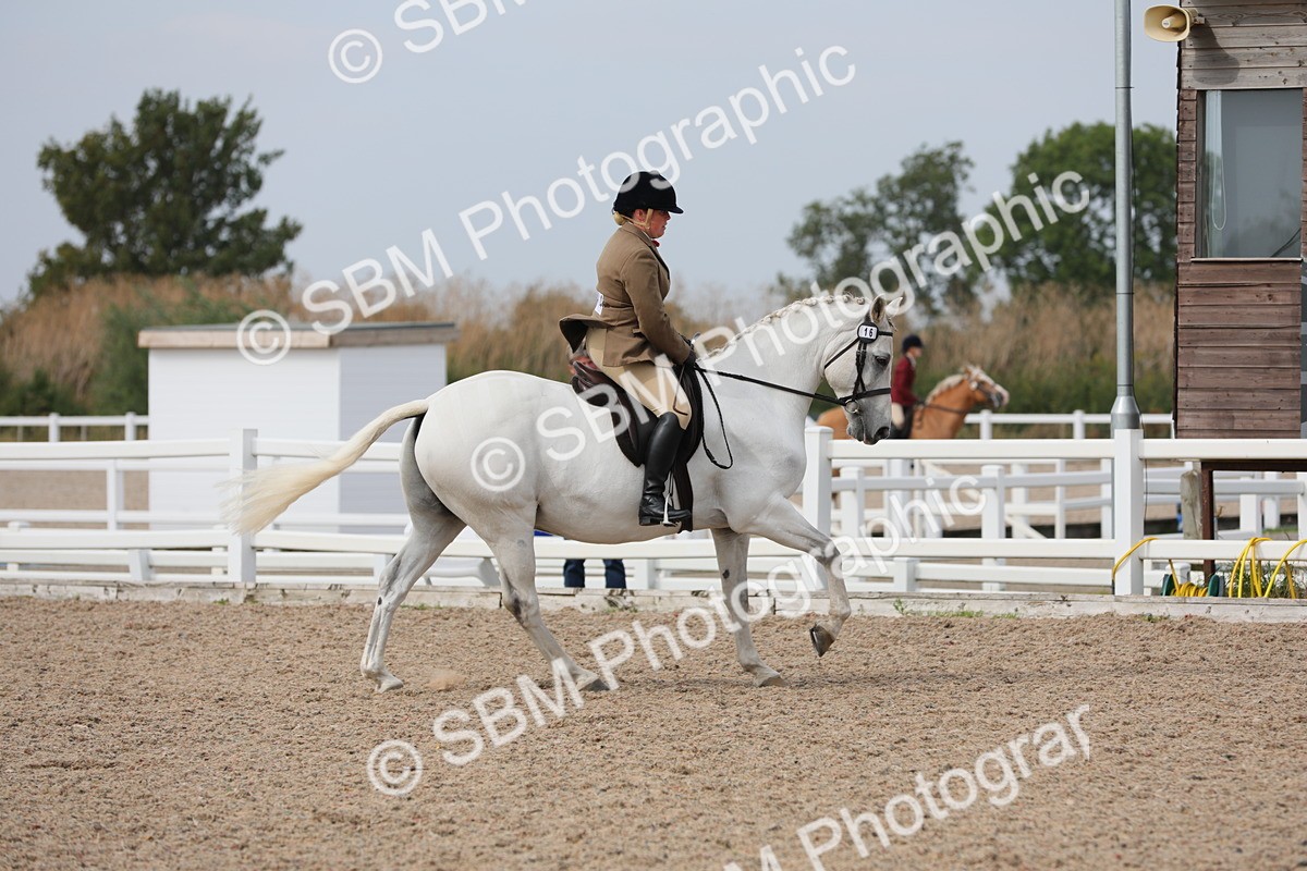 SBM_16996 - Class 314 Family Horse/Pony