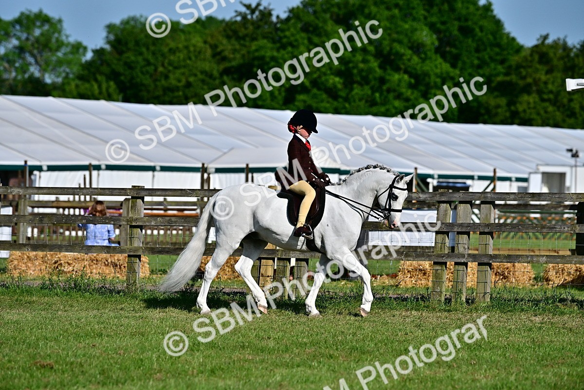SBM_19873 - Class 103 - 105 - TSR Ridden Amateur of the Year Plaited Ponies