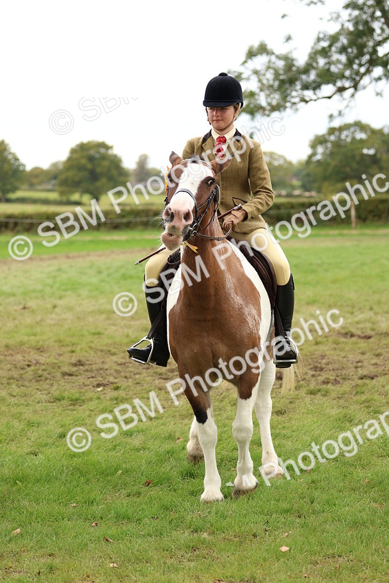 SBM_64667 - S58 - Coloured Pony Ridden
